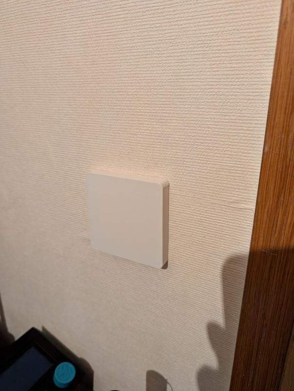 Busch Jaeger Busch-balance SI - Light switch cover