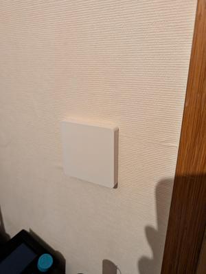 Busch Jaeger Busch-balance SI - Light switch cover