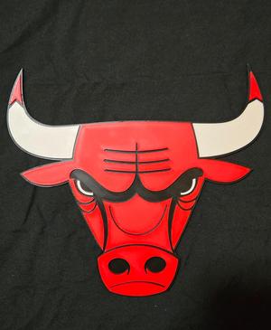 Chicago Bulls