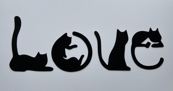 Cat Love Wall Art #1