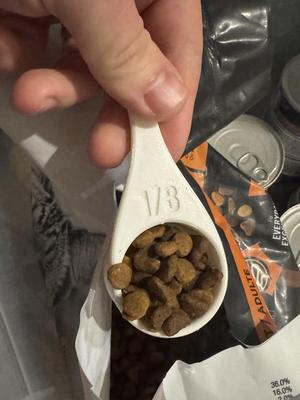 Cat Food Scoop