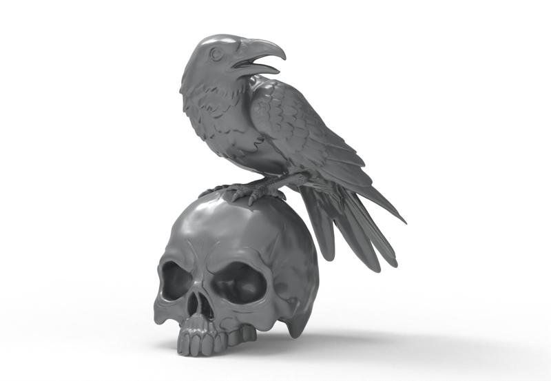 Crow sitting on a Skull