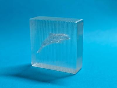 Transparent Crystal - Dolphin