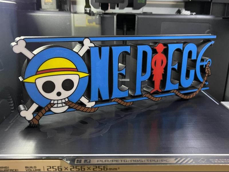One  Piece Logo