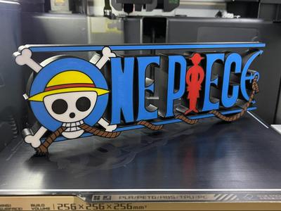 One  Piece Logo