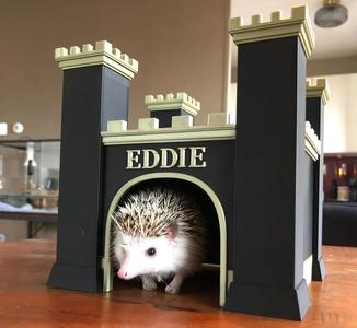 Eddies Castle (Guinea Pig, Hamster, Hedgehog)