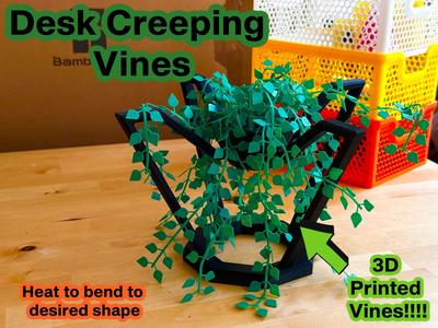 Floating Desk Creeper Vines