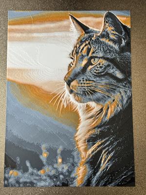 Sunset Cat - HueForge Print