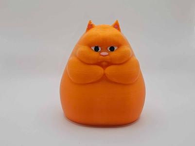 Chonky Cat