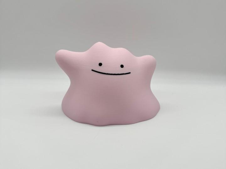 Ditto Multicolor