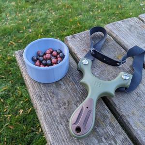 Slingshot Dish