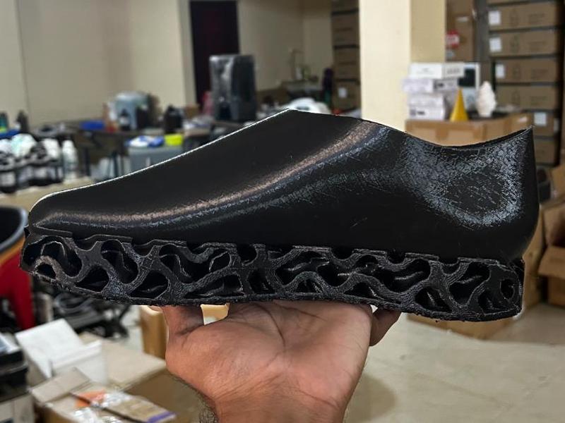 Gyroid Conformal lattice Shoe