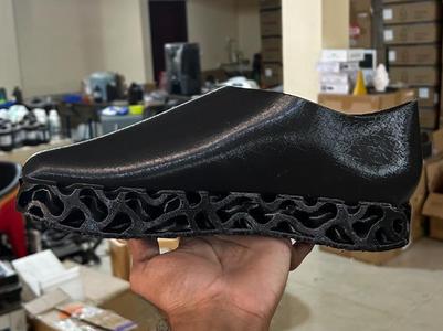 Gyroid Conformal lattice Shoe