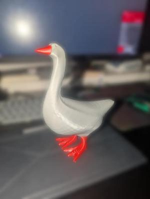 Gooose   