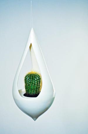 Hanging Vase