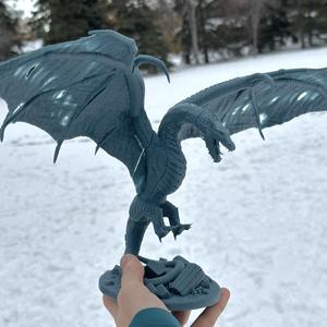 Ice Dragon