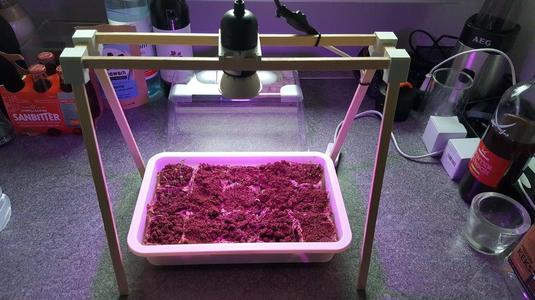 grow-lamp-rack (connectors) for indoor plants