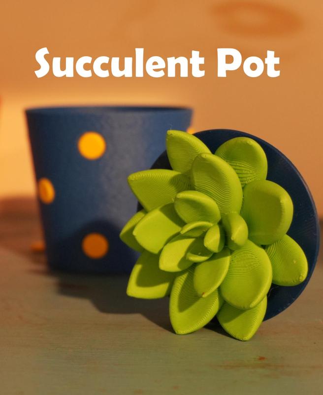 Mini Succulent Pot