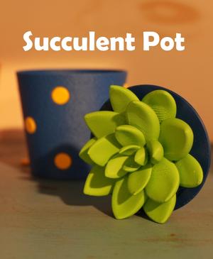 Mini Succulent Pot