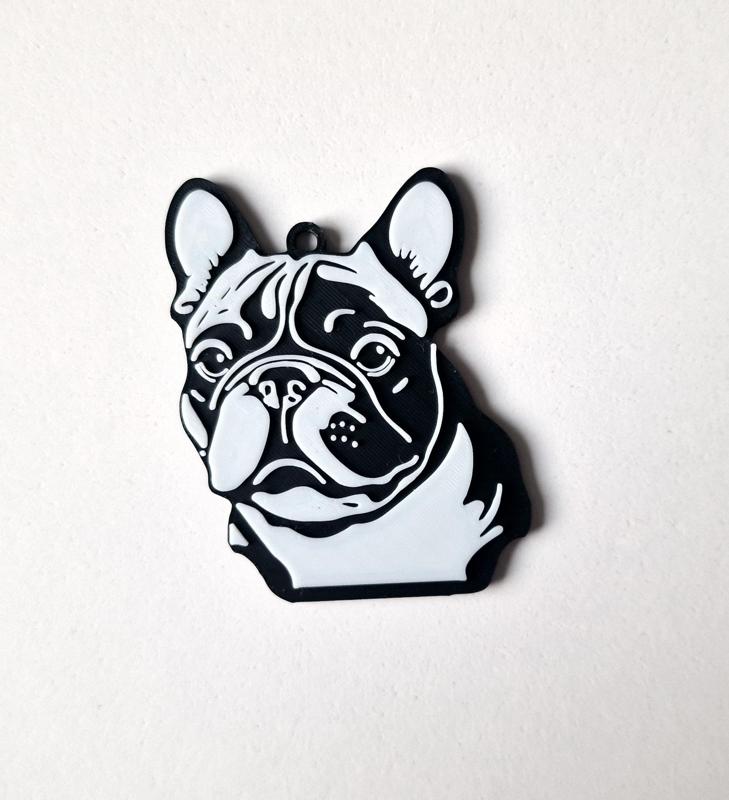 French bulldog