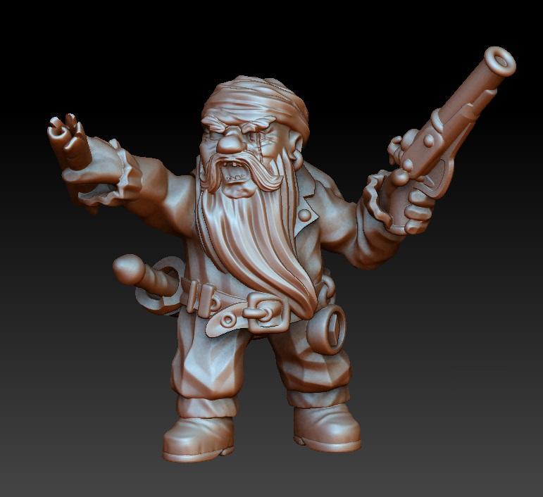 Dwarf pirate