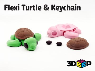 Flexi Turtle & Keychain - No Supports