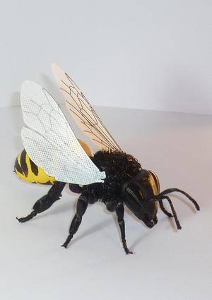 Hairify Honey Bee