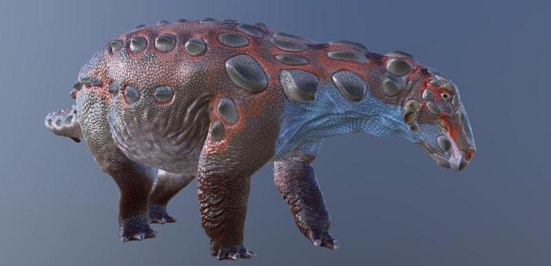 Revised Denversaurus 3.0