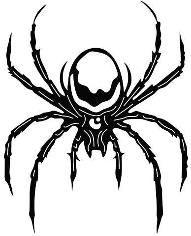 2D Spider