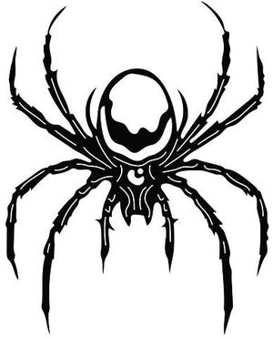 2D Spider
