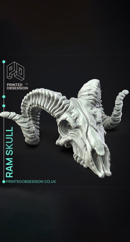 Ram Skull - Decoration