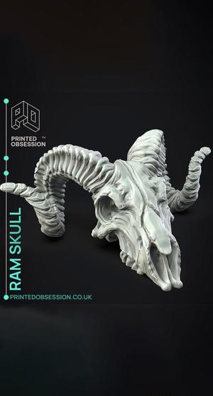 Ram Skull - Decoration