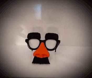 COTILLION MASK