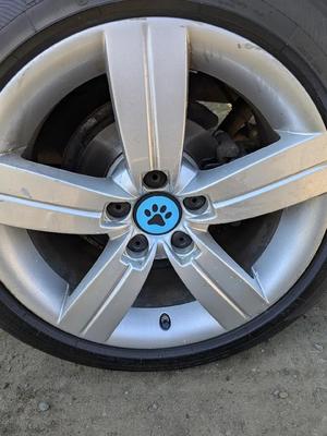 Dog paw print alloy wheel centre cap 56mm (Audi/VW etc)   