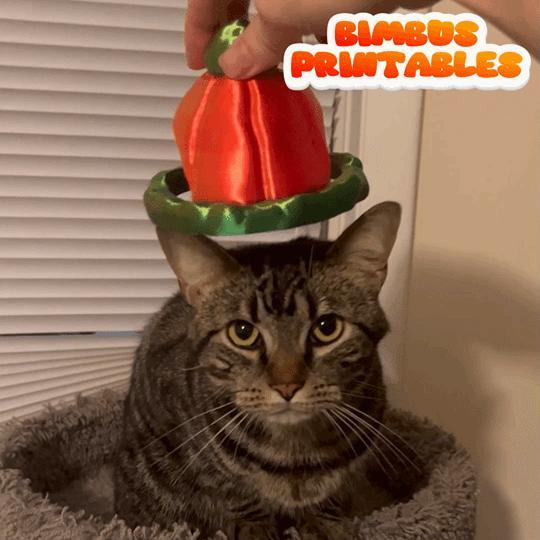 CatBeanie