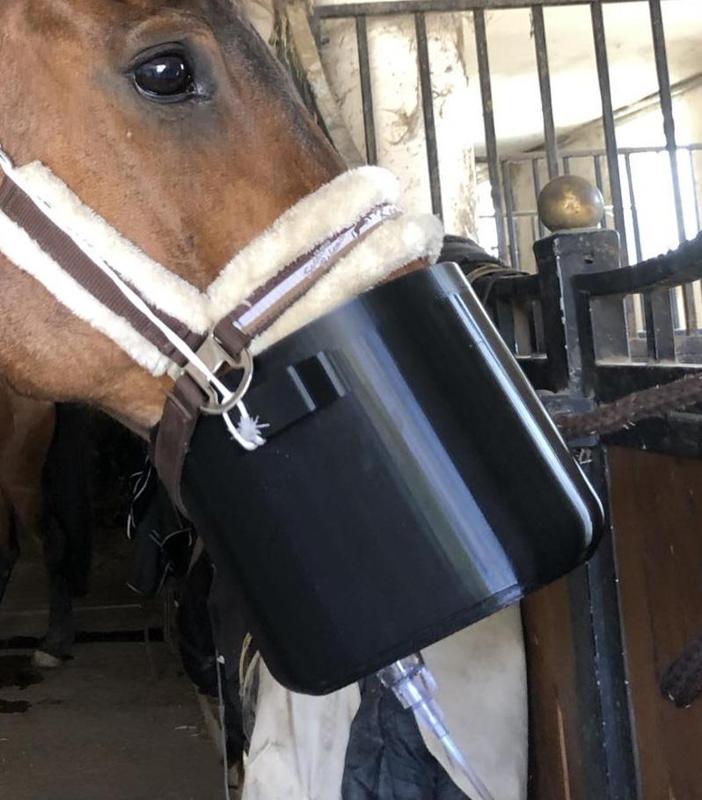 HORSE INHALATION MASK