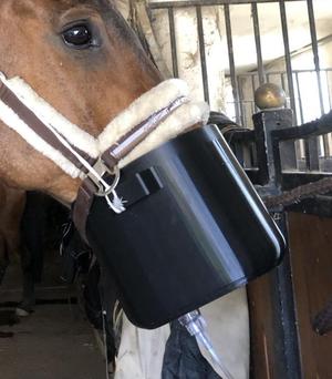 HORSE INHALATION MASK