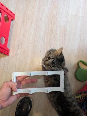 Can Holder Lite   