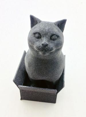 Schrodinky! British Shorthair Cat Sitting In A Box(single extrusion version)