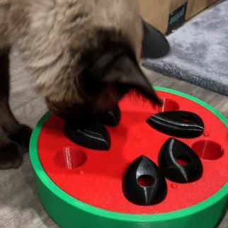 Watermelon Treat Puzzle Interactive Cat Toy with Multiple Difficulty Levels