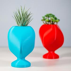 QBCO | POT FOR SUCCULENTS