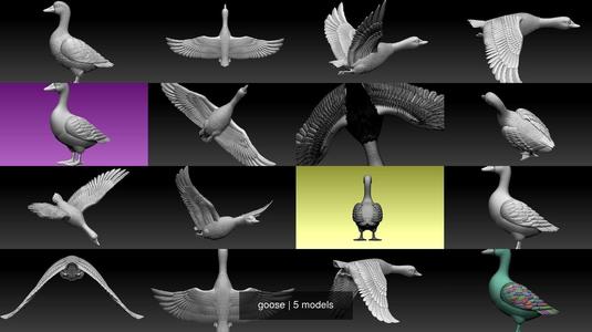 goose 3D Model Collection