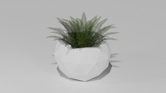 Self Watering Iso Pot