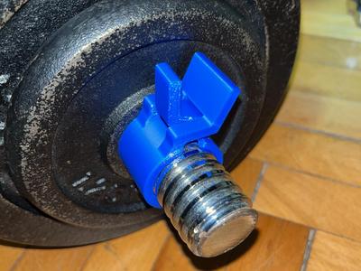 Safety clip for weights