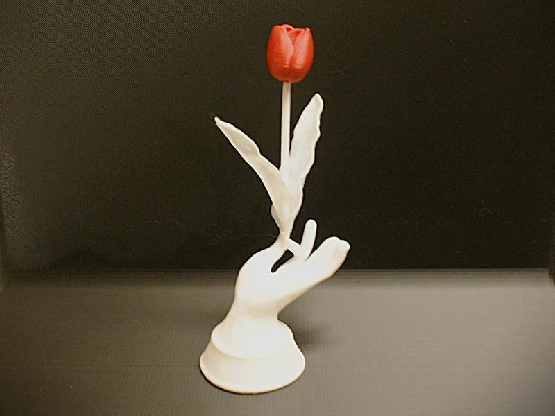 Tulip Hand 