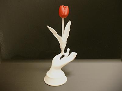 Tulip Hand 
