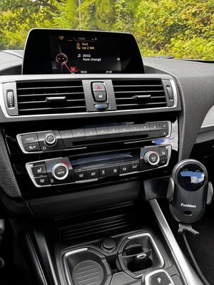 BMW F-Series Mount