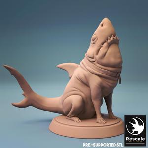 Shark Pup - Max