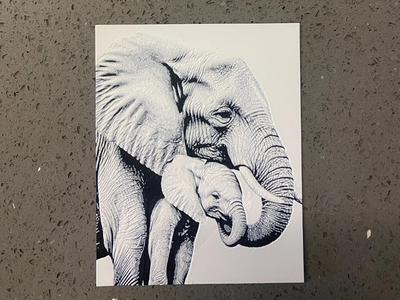 elephant