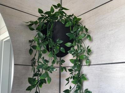 Corner Shelf